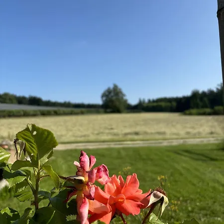 Ferien Am Winkelhof *