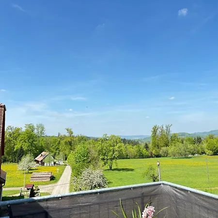 Ferien Am Winkelhof Apartmán Deggenhausertal